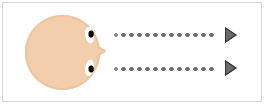 ものを見るとき両目は見ようとするものの方向を向いています。
